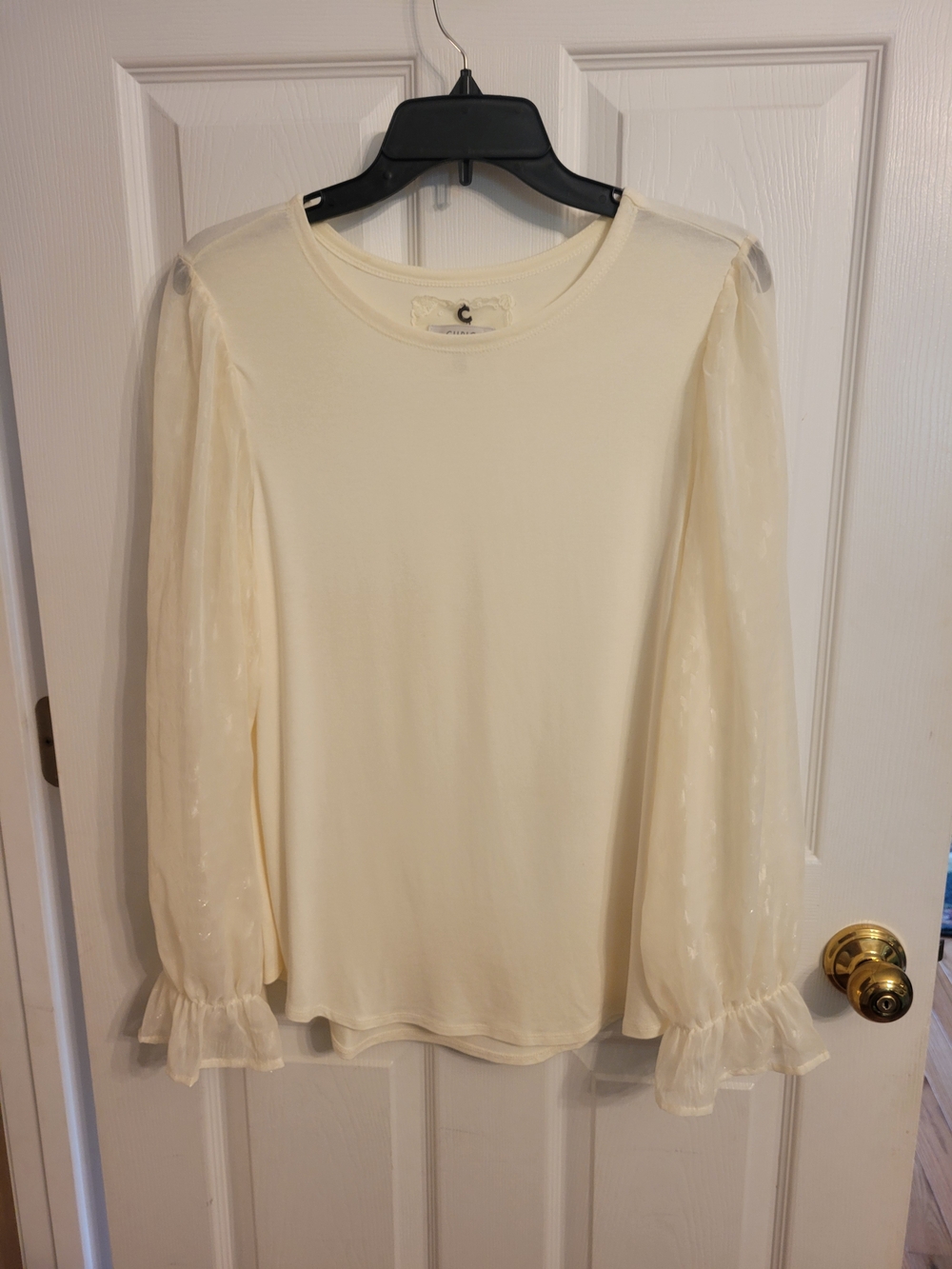 Cupio Cream Sheer Puff-Sleeve Long Sleeve Top